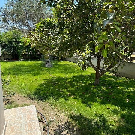 Fotis House Apartment Afantou Exterior foto