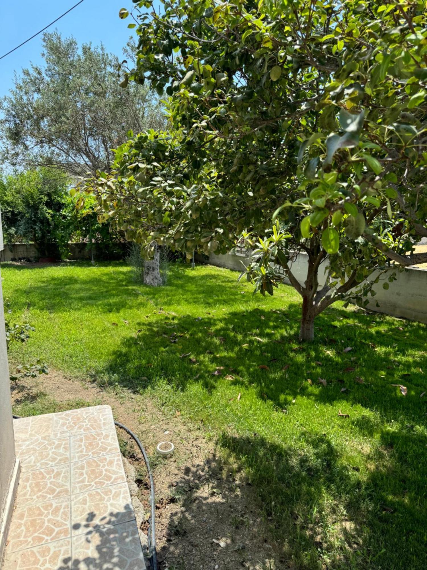Fotis House Apartment Afantou Exterior foto