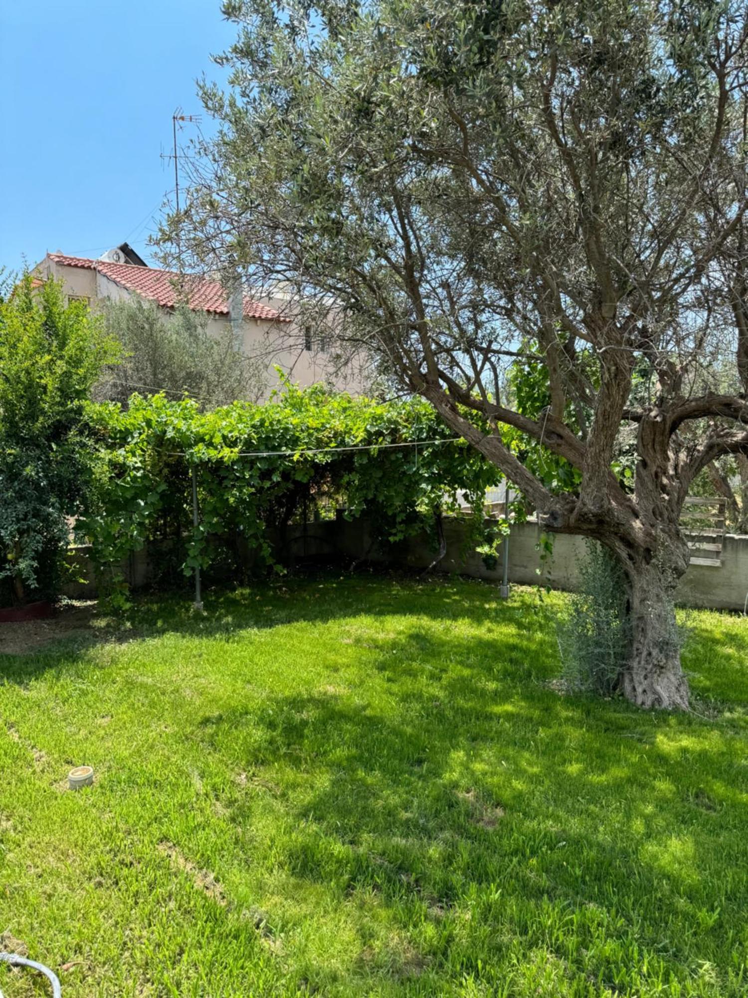 Fotis House Apartment Afantou Exterior foto